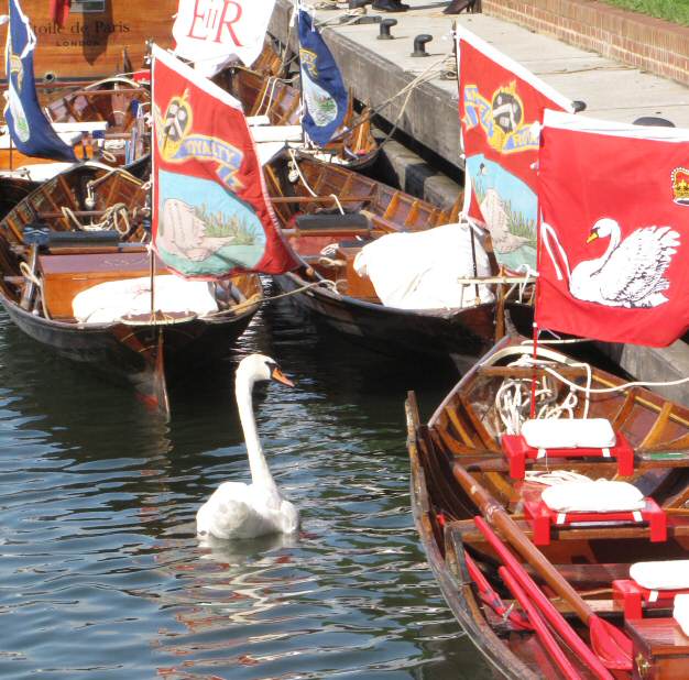 Thames skiff hire is a traditional boating holiday company based on 
